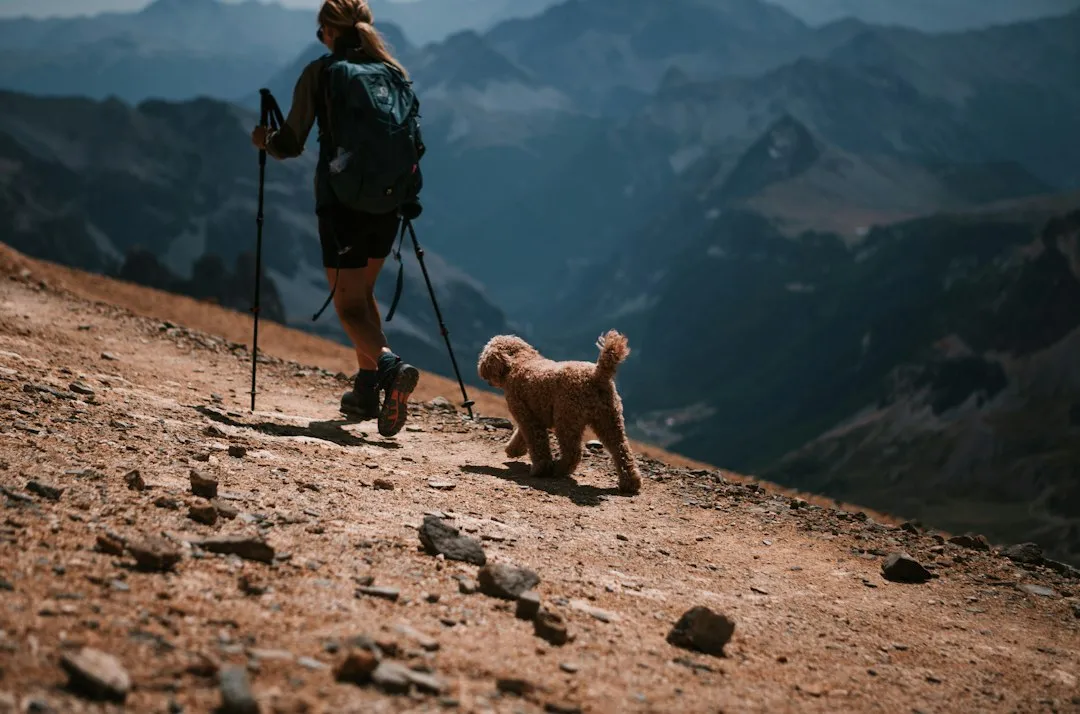 防潮垫与登山杖材质对比：不同户外场景下的装备性能差异分析正文配图 2